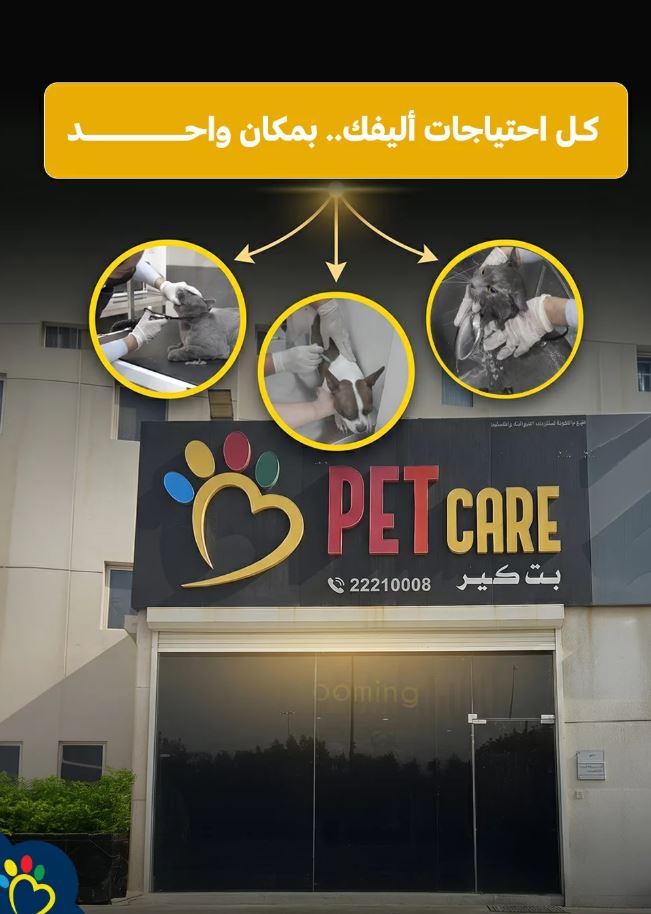 Pet Care storefront and grooming action shots, Almahboula, Kuwait
